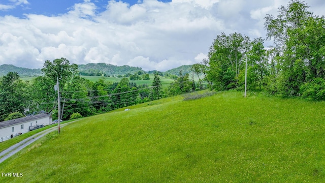view of yard featuring a mountain view