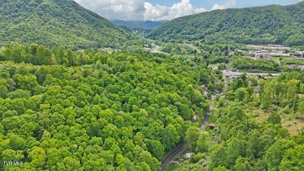 TBD Reed Hollow Rd, Gate City, VA 24251