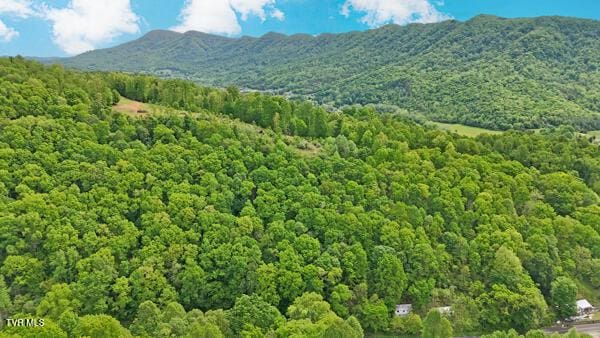 TBD Reed Hollow Rd, Gate City, VA 24251