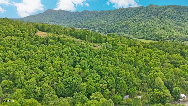 TBD Reed Hollow Rd, Gate City, VA 24251