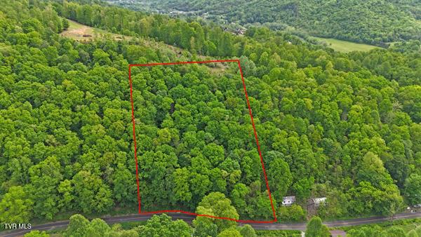 TBD Reed Hollow Rd, Gate City, VA 24251