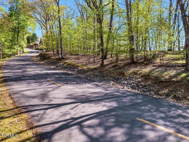 351 Chelaque Way, Mooresburg, TN 37811 - photo 1