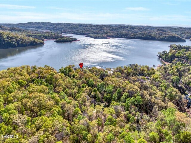 351 Chelaque Way, Mooresburg, TN 37811 - photo 3