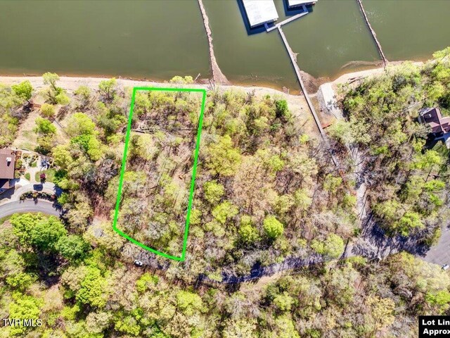 351 Chelaque Way, Mooresburg, TN 37811 - photo 5