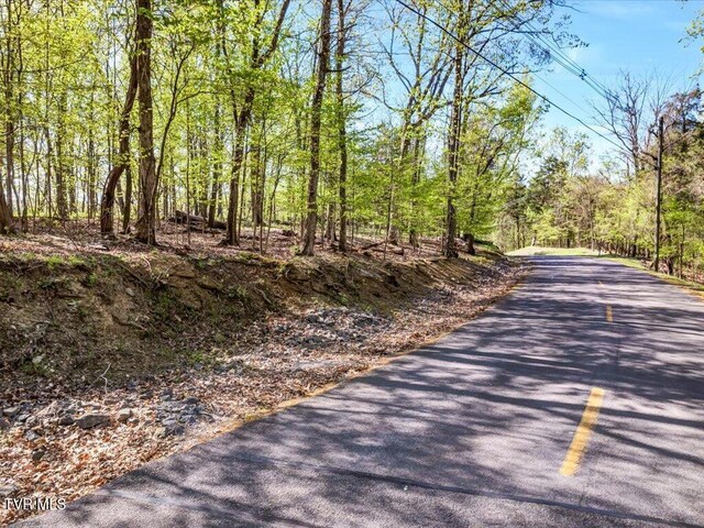 351 Chelaque Way, Mooresburg, TN 37811 - photo 6
