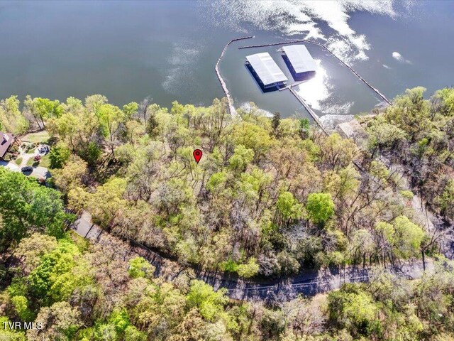 351 Chelaque Way, Mooresburg, TN 37811 - photo 8