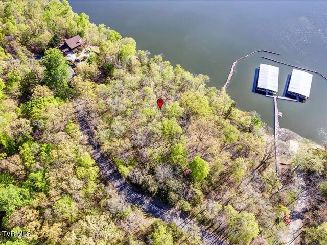 351 Chelaque Way, Mooresburg, TN 37811 - photo 9