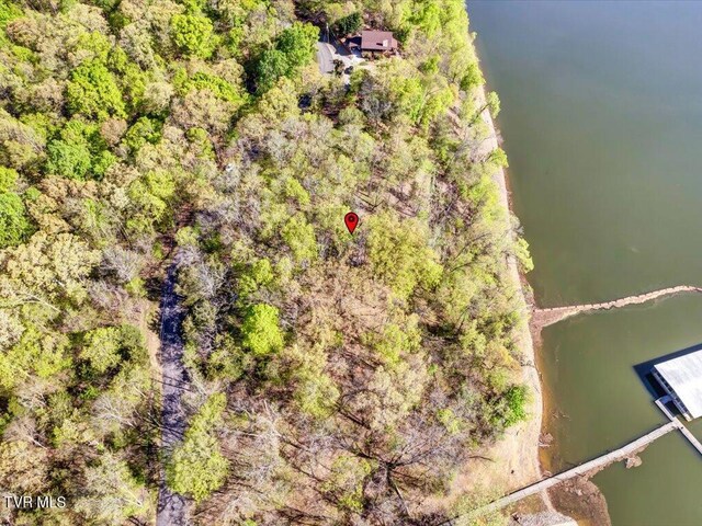 351 Chelaque Way, Mooresburg, TN 37811 - photo 10