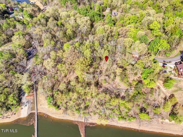 351 Chelaque Way, Mooresburg, TN 37811 - photo 11