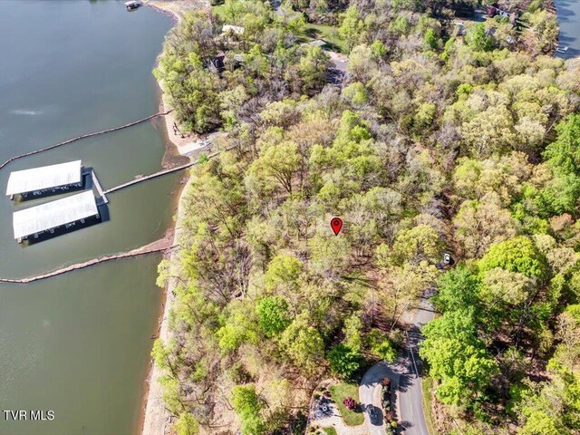 351 Chelaque Way, Mooresburg, TN 37811 - photo 13