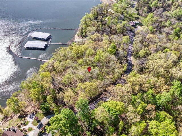 351 Chelaque Way, Mooresburg, TN 37811 - photo 14