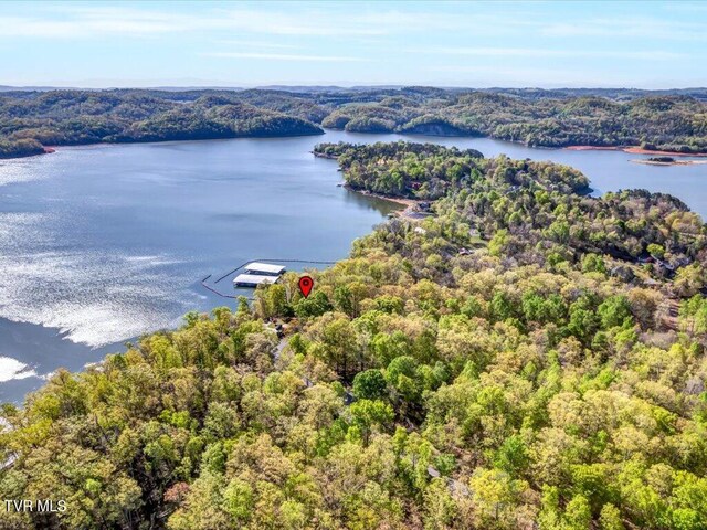 351 Chelaque Way, Mooresburg, TN 37811 - photo 15