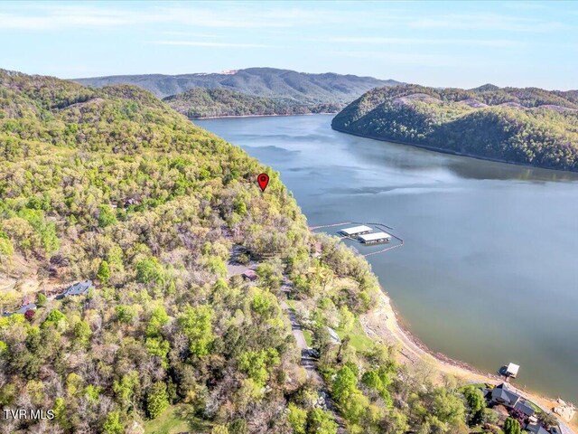351 Chelaque Way, Mooresburg, TN 37811 - photo 16