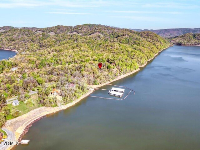 351 Chelaque Way, Mooresburg, TN 37811 - photo 17
