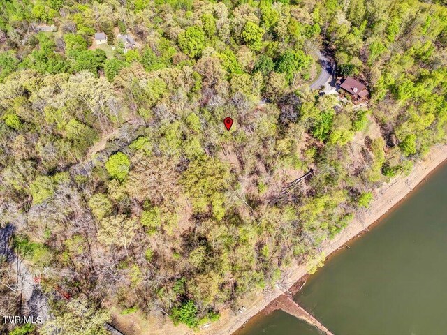 351 Chelaque Way, Mooresburg, TN 37811 - photo 18