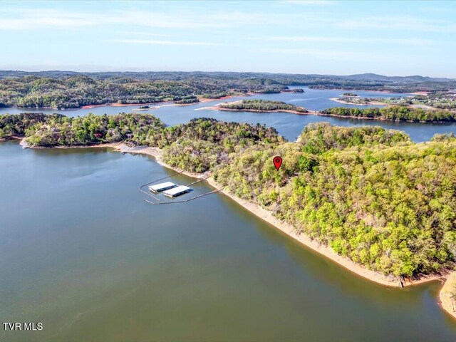 351 Chelaque Way, Mooresburg, TN 37811 - photo 19