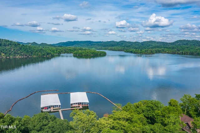 351 Chelaque Way, Mooresburg, TN 37811 - photo 26