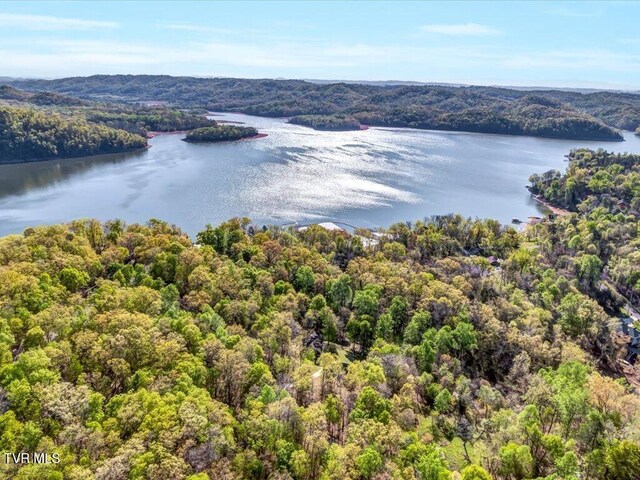351 Chelaque Way, Mooresburg, TN 37811 - photo 30