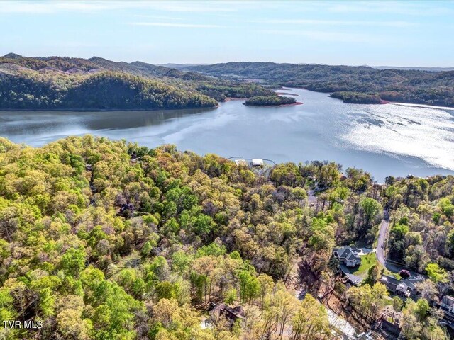 351 Chelaque Way, Mooresburg, TN 37811 - photo 31