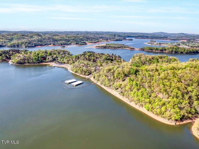 351 Chelaque Way, Mooresburg, TN 37811 - photo 33