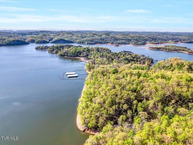 351 Chelaque Way, Mooresburg, TN 37811 - photo 34
