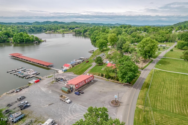 629 Buffalo Rd, Blountville, TN 37617 - bird's eye view of a large body of water and a heavily wooded area