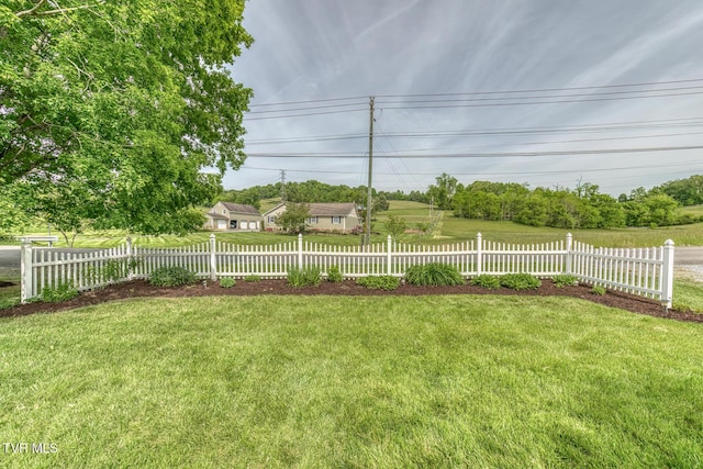 629 Buffalo Rd, Blountville, TN 37617 - view of yard