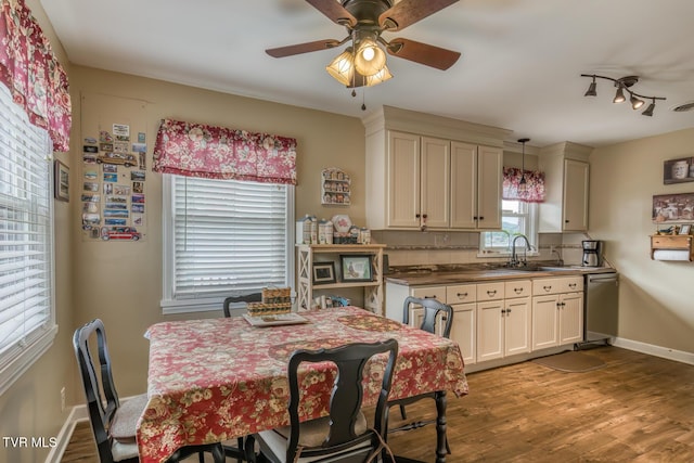 629 Buffalo Rd, Blountville, TN 37617 - kitchen featuring a sink, a ceiling fan, dishwasher, and dark wood-type flooring