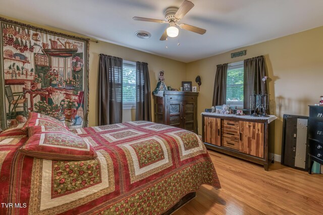 629 Buffalo Rd, Blountville, TN 37617 - bedroom with light wood-style floors and ceiling fan