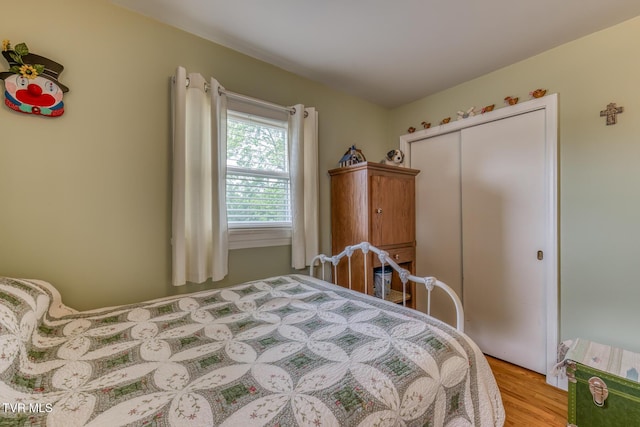 629 Buffalo Rd, Blountville, TN 37617 - bedroom featuring light wood-style floors and a closet