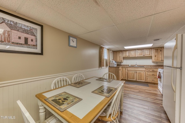 629 Buffalo Rd, Blountville, TN 37617 - dining room with a paneled ceiling, a wainscoted wall, and light wood-style floors
