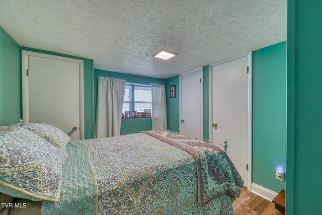 629 Buffalo Rd, Blountville, TN 37617 - bedroom featuring wood finished floors, a textured ceiling, baseboards, and multiple closets