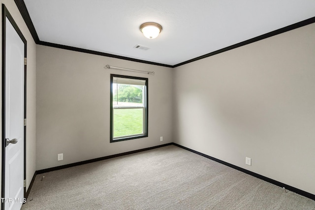 2551 Cedar Creek Rd, Russellville, TN 37860 - carpeted empty room featuring crown molding and baseboards