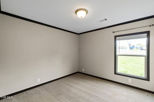 2551 Cedar Creek Rd, Russellville, TN 37860 - empty room featuring crown molding, baseboards, and light carpet
