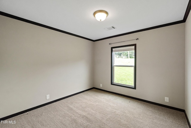 2551 Cedar Creek Rd, Russellville, TN 37860 - unfurnished room featuring ornamental molding, baseboards, and light colored carpet