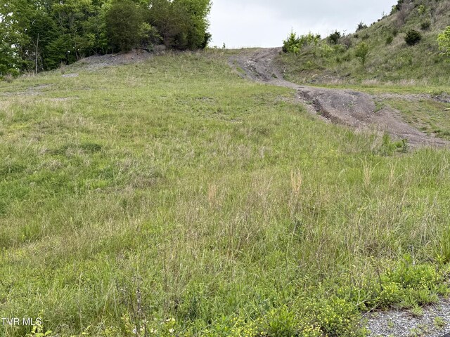 3130 E Stone Dr, Kingsport, TN 37660 - photo 12