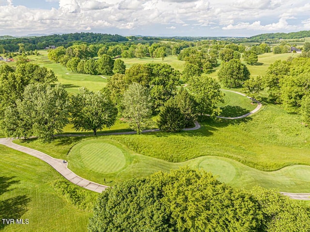 15127 Stonewall Rdg, Bristol, VA 24202 - aerial view of a golf course and a tree filled landscape