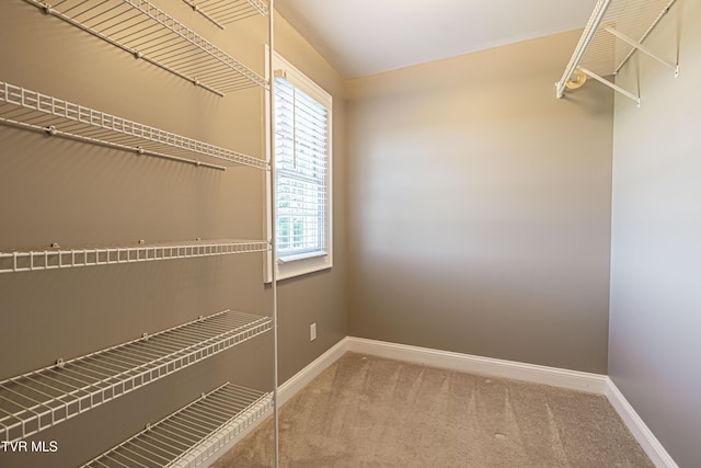 15127 Stonewall Rdg, Bristol, VA 24202 - spacious closet with carpet floors