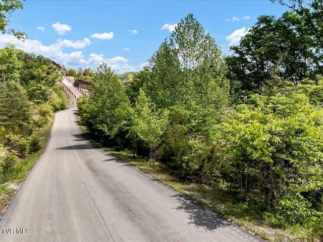 LOT23 Emerald Pointe Blvd, Sevierville, TN 37876 - photo 1