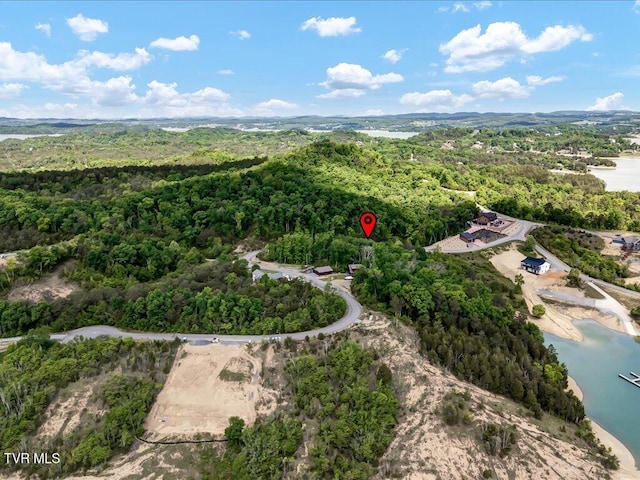 LOT23 Emerald Pointe Blvd, Sevierville, TN 37876 - photo 4