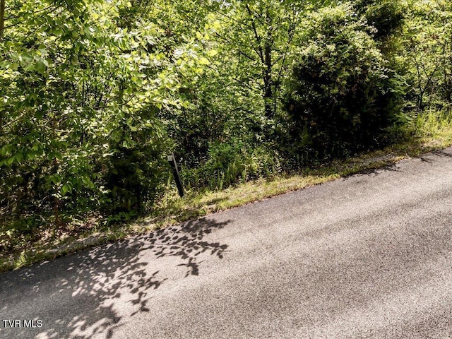 LOT23 Emerald Pointe Blvd, Sevierville, TN 37876 - photo 7