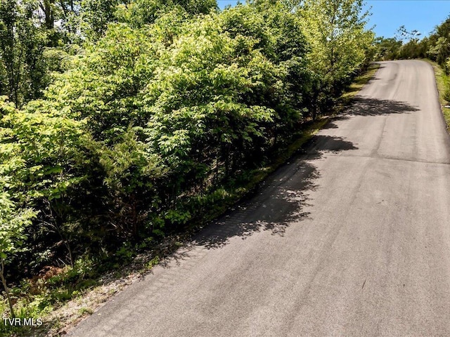 LOT23 Emerald Pointe Blvd, Sevierville, TN 37876 - photo 8