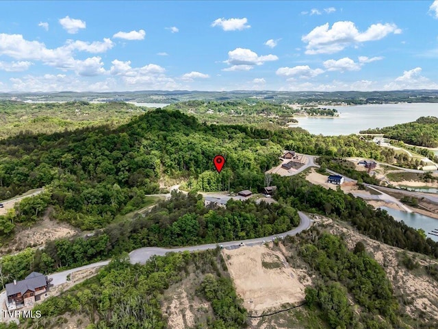 LOT23 Emerald Pointe Blvd, Sevierville, TN 37876 - photo 11