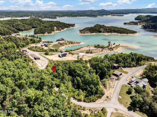 LOT23 Emerald Pointe Blvd, Sevierville, TN 37876 - photo 16