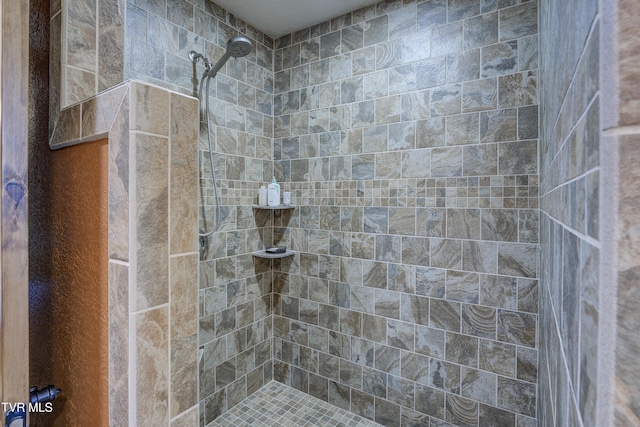 138 Ray Cemetery Rd, Roan Mountain, TN 37687 - full bath with tiled shower