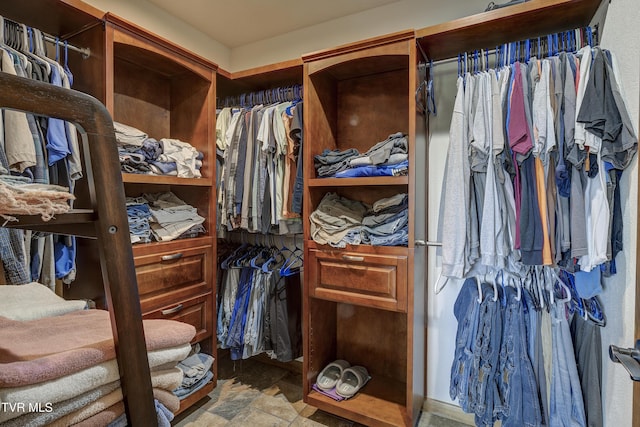 138 Ray Cemetery Rd, Roan Mountain, TN 37687 - view of walk in closet