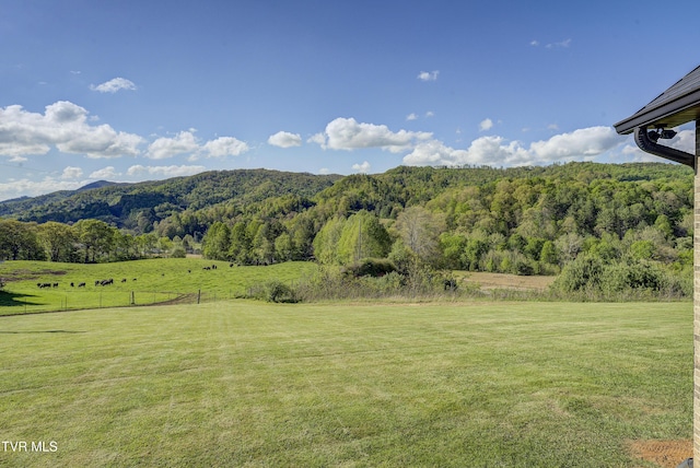 138 Ray Cemetery Rd, Roan Mountain, TN 37687 - view of mountain backdrop with rural landscape and a heavily wooded area