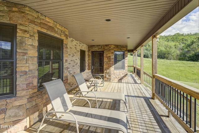138 Ray Cemetery Rd, Roan Mountain, TN 37687 - deck with a porch and a lawn