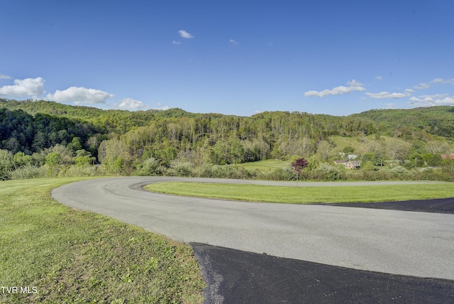 138 Ray Cemetery Rd, Roan Mountain, TN 37687 - view of asphalt road with a forest view