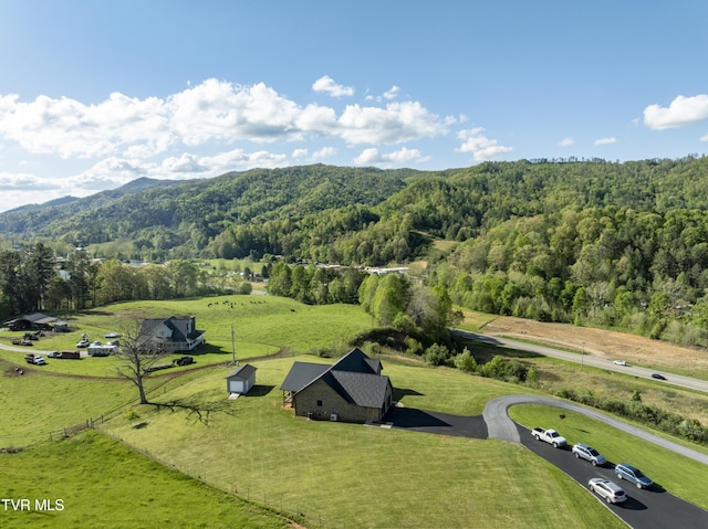 138 Ray Cemetery Rd, Roan Mountain, TN 37687 - overview of rural landscape featuring a heavily wooded area and a mountain backdrop